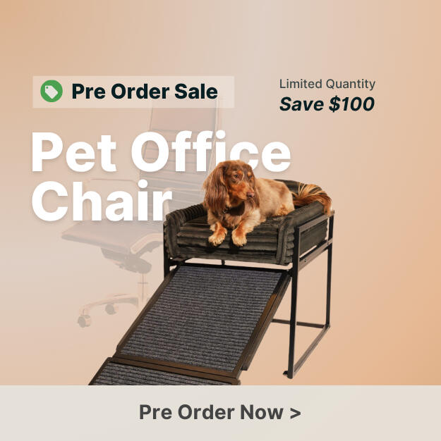Pet office chair link